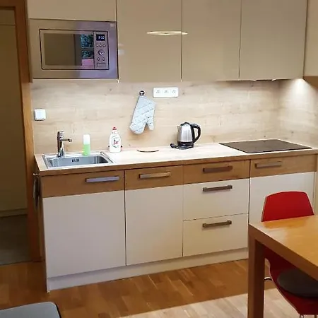Apartament Rokytka 217